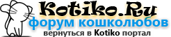 Питомник мейн кунов АВРОРАКУН