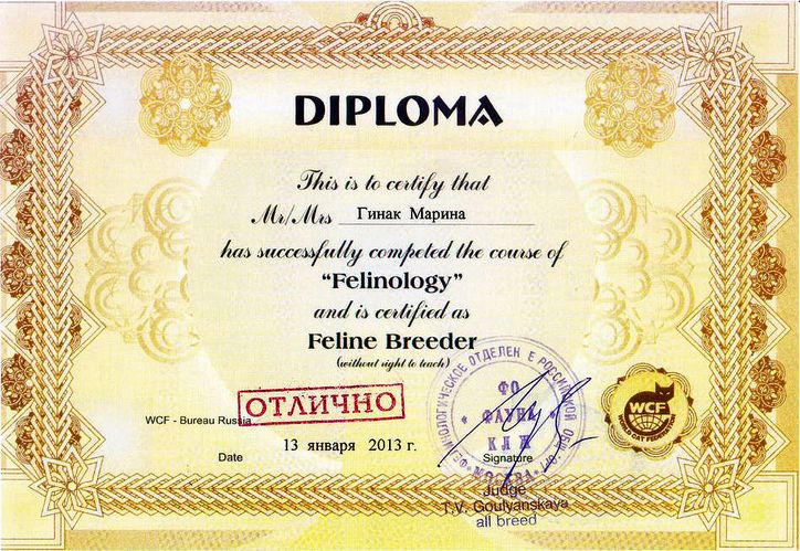 ДИПЛОМ ФЕЛИНОЛОГА DIPLOMA Felinology