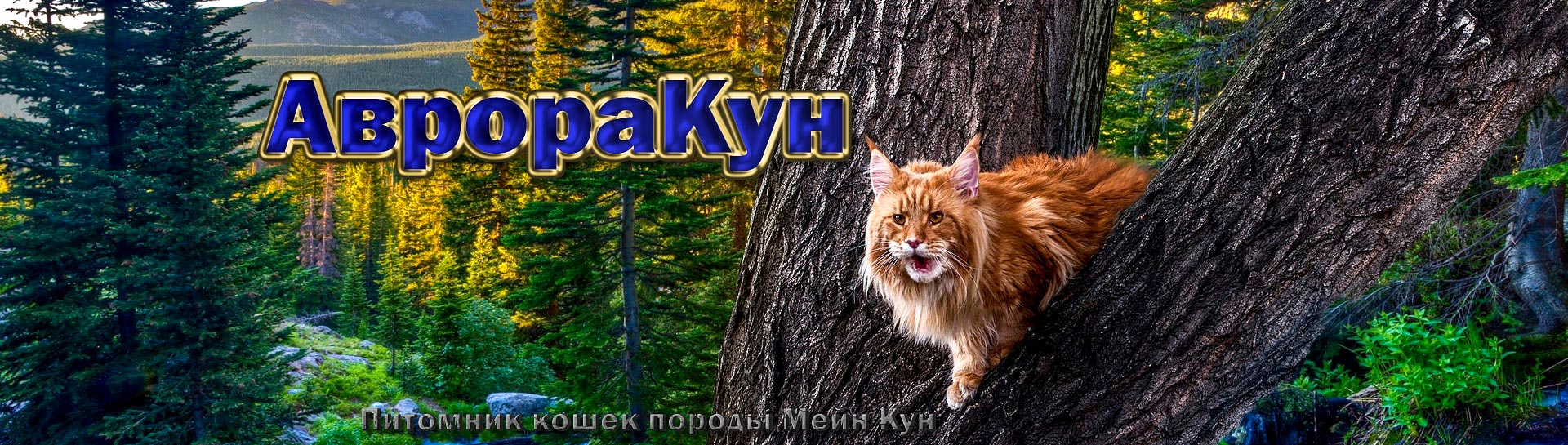 Питомник АВРОРАКУН