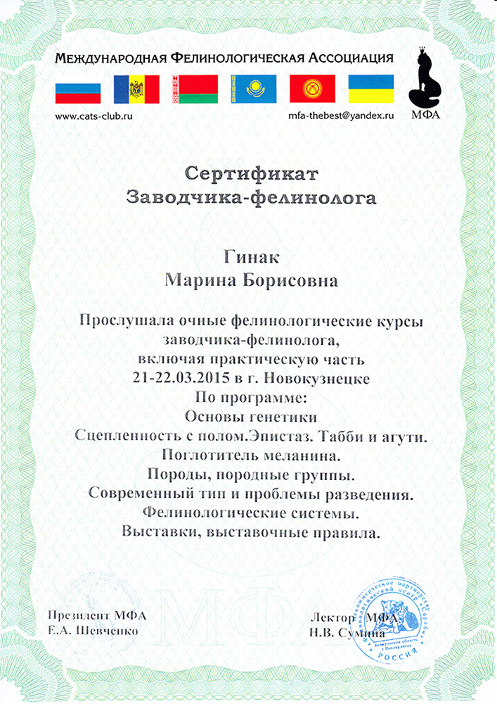 СЕРТИФИКАТ ЗАВОДЧИКА-ФЕЛИНОЛОГА Сертификат заводчика питомника АВРОРАКУН